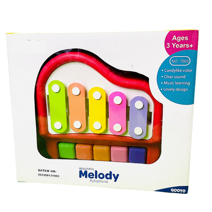 2 in 1 Musical Xylophone and Mini Piano Small | Kids Educational Musical Instrument Toy